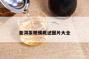 普洱茶规模概述图片大全