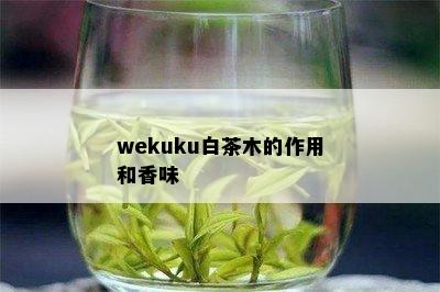 wekuku白茶木的作用和香味