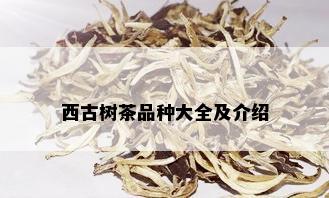 西古树茶品种大全及介绍