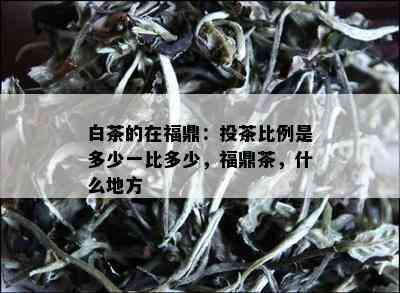 白茶的在福鼎：投茶比例是多少一比多少，福鼎茶，什么地方