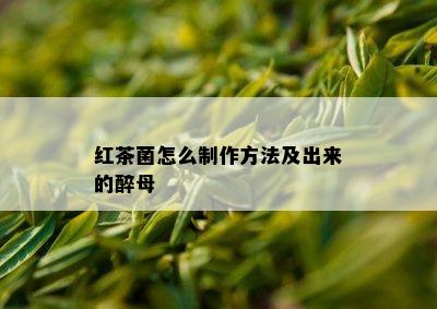 红茶菌怎么制作方法及出来的醉母