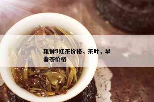 雄狮9红茶价格，茶叶，早春茶价格