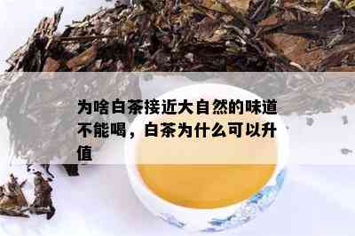 为啥白茶接近大自然的味道不能喝，白茶为什么可以升值