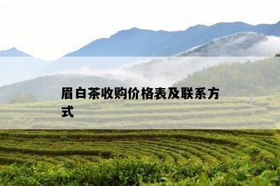 眉白茶收购价格表及联系方式