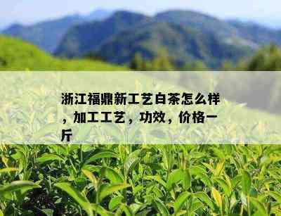 浙江福鼎新工艺白茶怎么样，加工工艺，功效，价格一斤