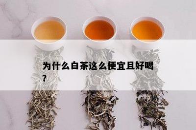 为什么白茶这么便宜且好喝？