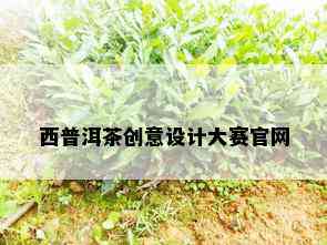 西普洱茶创意设计大赛官网