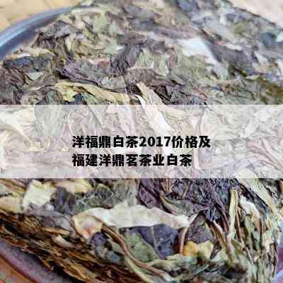 洋福鼎白茶2017价格及福建洋鼎茗茶业白茶