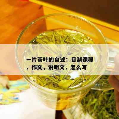 一片茶叶的自述：目制课程，作文，说明文，怎么写