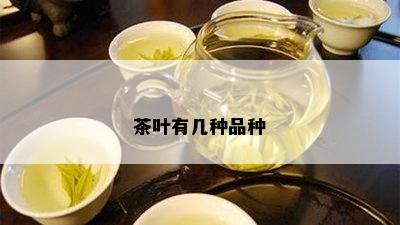 茶叶有几种品种