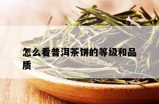 怎么看普洱茶饼的等级和品质