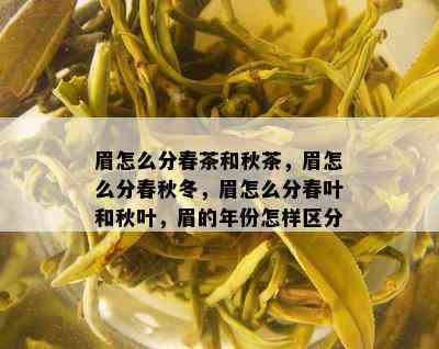 眉怎么分春茶和秋茶，眉怎么分春秋冬，眉怎么分春叶和秋叶，眉的年份怎样区分