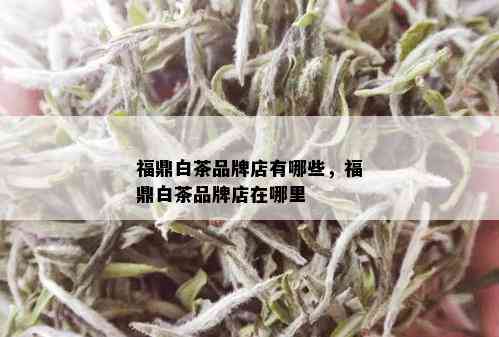 福鼎白茶品牌店有哪些，福鼎白茶品牌店在哪里