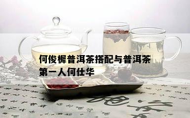 何俊樨普洱茶搭配与普洱茶之一人何仕华