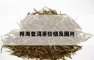 邦海普洱茶价格及图片