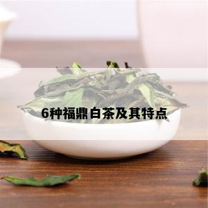 6种福鼎白茶及其特点