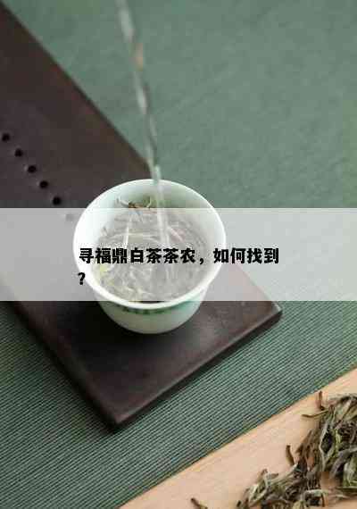 寻福鼎白茶茶农，如何找到？