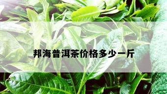 邦海普洱茶价格多少一斤