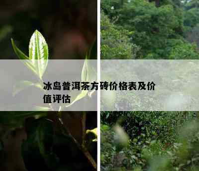 冰岛普洱茶方砖价格表及价值评估