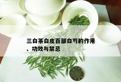 三白茶白皮百部白芍的作用、功效与禁忌