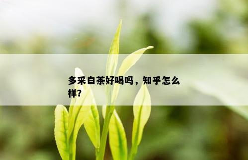 多采白茶好喝吗，知乎怎么样？