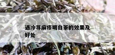 遇冷荨麻疹喝白茶的效果及好处