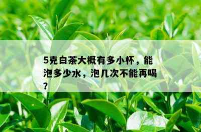 5克白茶大概有多小杯，能泡多少水，泡几次不能再喝？