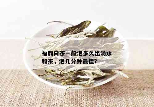 福鼎白茶一般泡多久出汤水和茶，泡几分钟更佳？