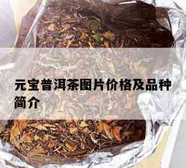 元宝普洱茶图片价格及品种简介