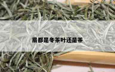 眉都是冬茶叶还是茶