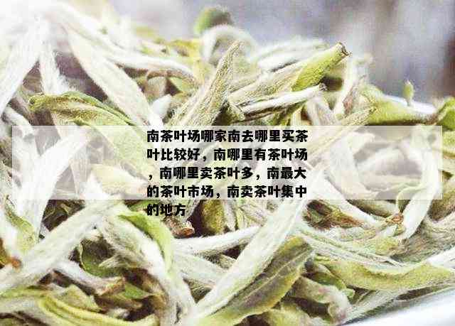 南茶叶场哪家南去哪里买茶叶比较好，南哪里有茶叶场，南哪里卖茶叶多，南更大的茶叶市场，南卖茶叶集中的地方