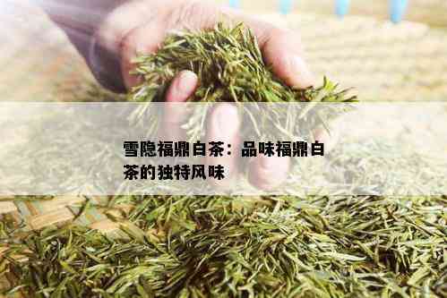 雪隐福鼎白茶：品味福鼎白茶的独特风味