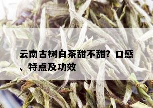 云南古树白茶甜不甜？口感、特点及功效