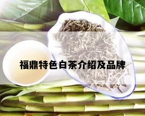 福鼎特色白茶介绍及品牌