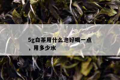 5g白茶用什么泡好喝一点，用多少水