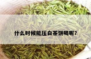 什么时候能压白茶饼喝呢？