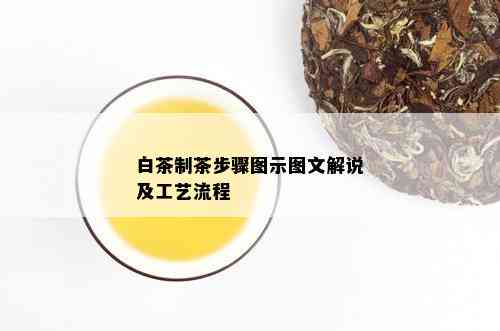 白茶制茶步骤图示图文解说及工艺流程