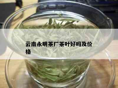 云南永明茶厂茶叶好吗及价格