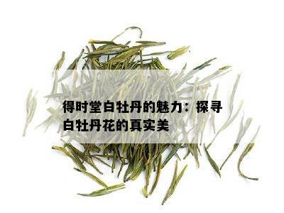 得时堂白牡丹的魅力：探寻白牡丹花的真实美