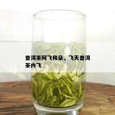 普洱茶阿飞和朵，飞天普洱茶内飞