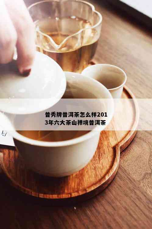 普秀牌普洱茶怎么样2013年六大茶山禅境普洱茶