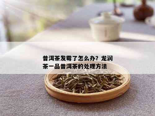 普洱茶发霉了怎么办？龙润茶一品普洱茶的处理方法