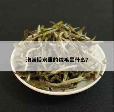 泡茶后水里的绒毛是什么？