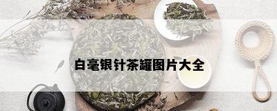 白毫银针茶罐图片大全