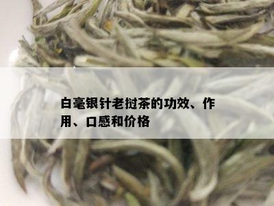 白毫银针老挝茶的功效、作用、口感和价格