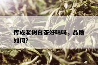 传成老树白茶好喝吗，品质如何？