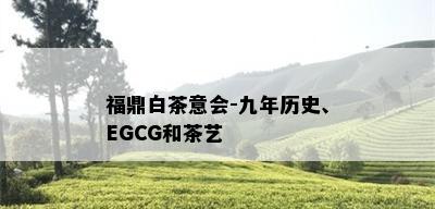 福鼎白茶意会-九年历史、EGCG和茶艺