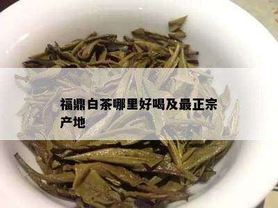 福鼎白茶哪里好喝及最正宗产地