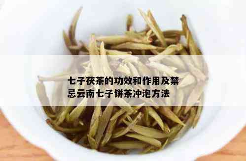 七子茯茶的功效和作用及禁忌云南七子饼茶冲泡方法