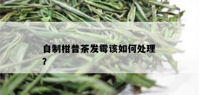 自制柑普茶发霉该如何处理？